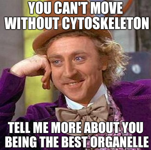 GOTSTRUCTURE's tweet photo. Cytoskeletons, letting you move since cellular life initiated. #CatFootMVO #CytoskeletonFTW http://t.co/X0VhxqgWAW