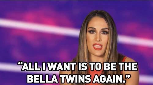 TotalDivas's tweet image. We love the @BellaTwins wild or not! #TotalDivas