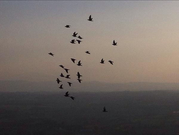 scurovolante's tweet photo. 🇮🇹 http://t.co/cSSYrncztg