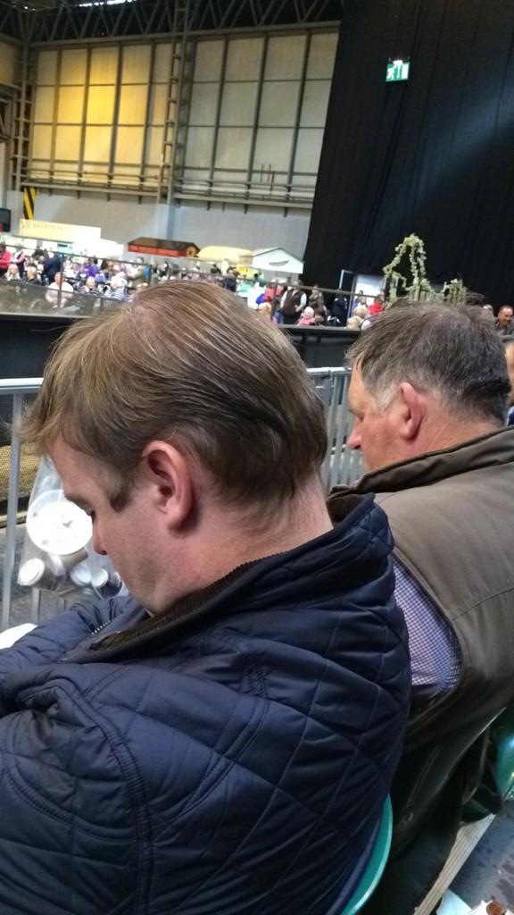 HowellsJennie's tweet photo. @hoystweet two fellas enjoying the lead rein 😴😴 http://t.co/qTDO6gIZ45