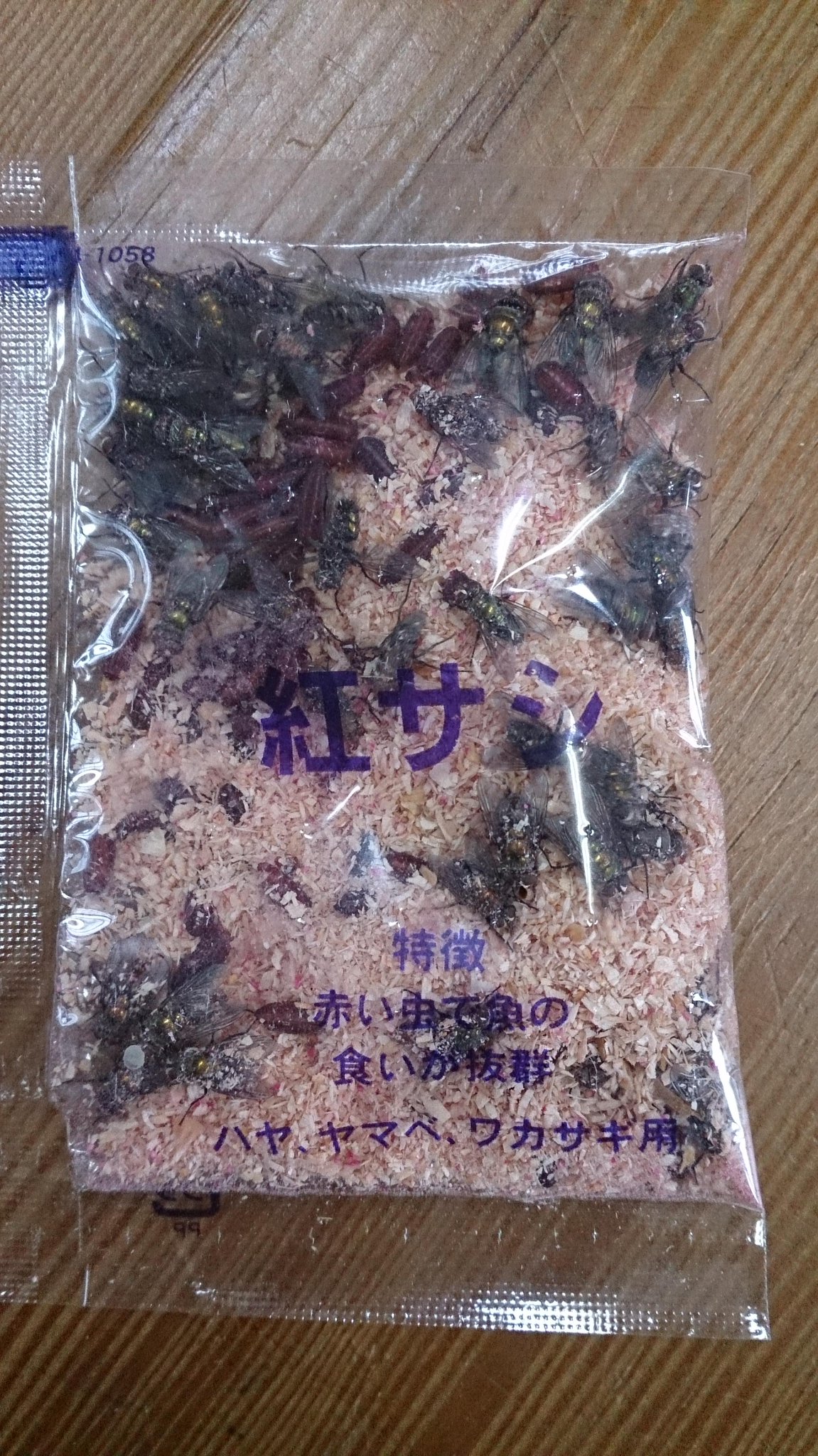 高木 大樹 とっちーからもらった紅サシ放置してたらハエにかえってた きもーい Http T Co Tdts4cmm6a 高木 大樹 とっちーからもらった紅サシ放置してたらハエにかえってた きもーい Http T Co Tdts4cmm6a