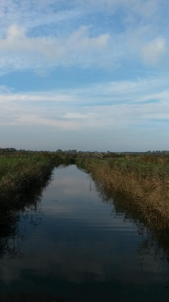 Another great SUP weekend!