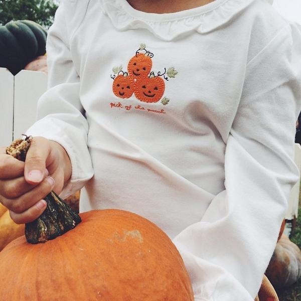 nirupama01's tweet image. This happened today. #fallbucketlist #pickofthepatch #instagram