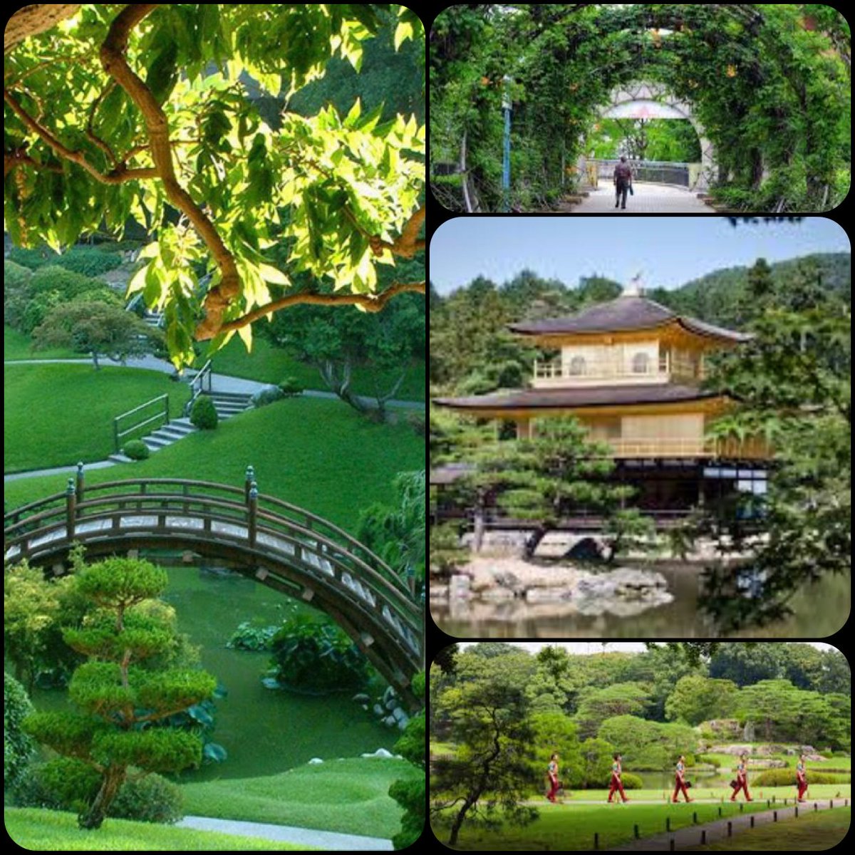 #OMNIATRAVEL (@omniatravel) on Twitter photo today it is Greenery Day, a day for nature appreciation in 🇯🇵 #exploreityourself book <a href="/Omniatravel/">#OMNIATRAVEL</a> #wanderlust #DaimyoTeien #Kyoto #Fujimini today it is Greenery Day, a day for nature appreciation in 🇯🇵 #exploreityourself book <a href="/Omniatravel/">#OMNIATRAVEL</a> #wanderlust #DaimyoTeien #Kyoto #Fujimini