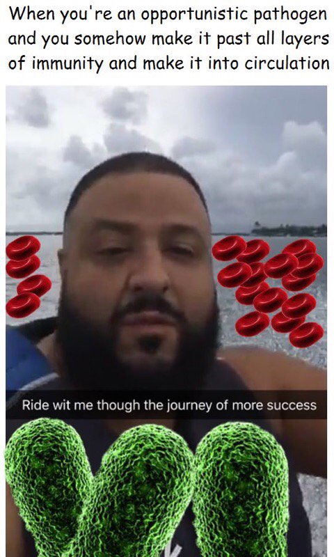 VIRALReTweetz's tweet photo. LMFAO #DJKhaled #sciencehumor https://t.co/PHbPs0YArF