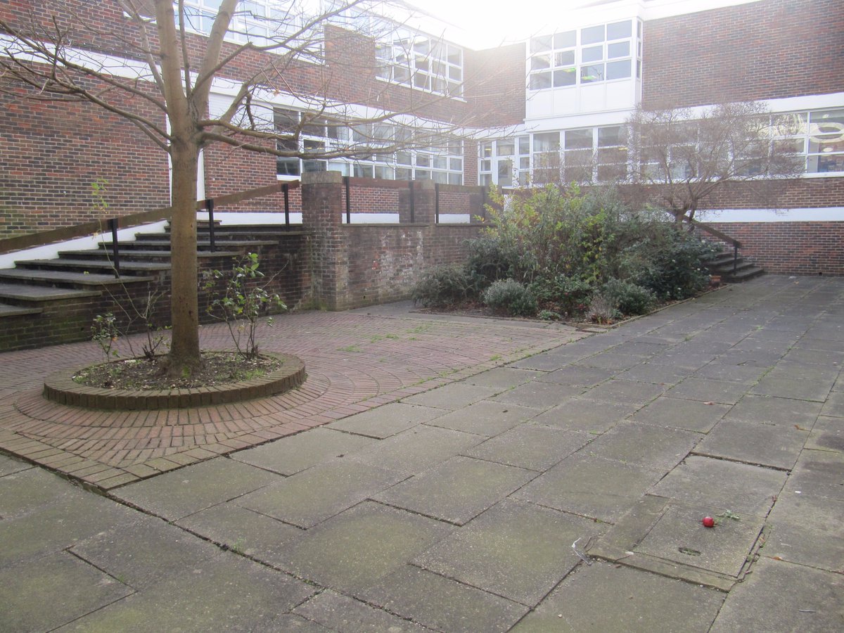 CHS_Ecoteam's tweet photo. Before and after picture of the wildlife part of the Secret garden - Eco girls have been busy 😀@CHSPremisesTeam @RHSSchools https://t.co/pJNx7jwO2W