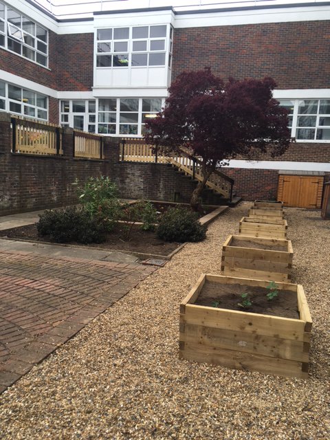 CHS_Ecoteam's tweet photo. Before and after picture of the wildlife part of the Secret garden - Eco girls have been busy 😀@CHSPremisesTeam @RHSSchools https://t.co/pJNx7jwO2W