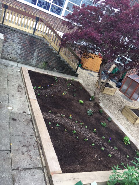 CHS_Ecoteam's tweet photo. Before and after picture of the wildlife part of the Secret garden - Eco girls have been busy 😀@CHSPremisesTeam @RHSSchools https://t.co/pJNx7jwO2W