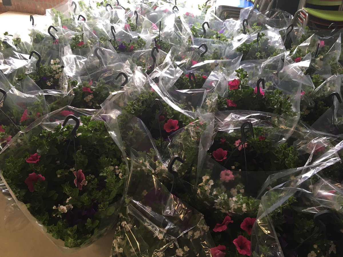 Geraniums!
Overal waar je kijkt geraniums op de Meentschool en <a href="/SboDelta/">Sbo Delta</a> #geraniummarkt