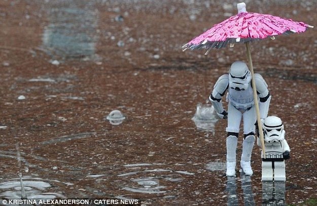 ILPublicMedia's tweet photo. Rather Dagobah 
out there. Dark, soggy, but cold.
At least it's not Hoth? #WeatherHaiku
Rain &amp; wind all day. #cILwx #MayTheFourthBeWithYou https://t.co/awqNg3L5QQ