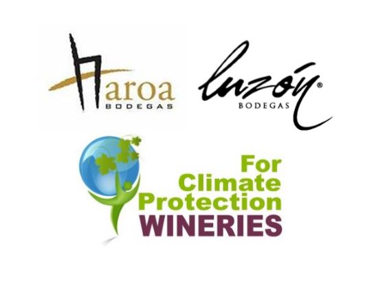 Bodegas y Vinos tweet media