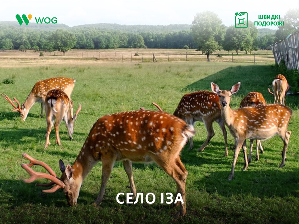 Ми запрошуємо вас до маленького, але дуже відомого села Іза. goo.gl/o8bGNo