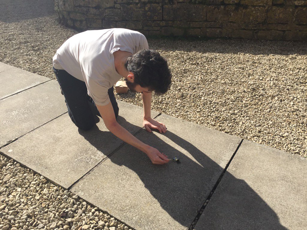 RealWorldStudio's tweet photo. Birthday love to engineer @patrickcphillip - here he is saving the life of a bee outside the studio. https://t.co/ToGOvc8YWl