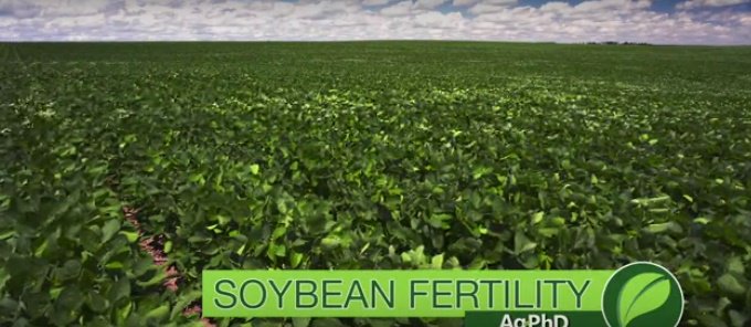 FarmsNews's tweet photo. Agronomy Video
Soybean Fertility Tips
Watch
https://t.co/JoJIfMYXUY https://t.co/WoGh73q1FT