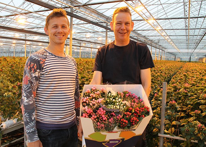Eerste partnerkwekers op het bloemistenplatform zijn een feit!
Zie partnerprofiel: bit.ly/2pbzHZb
#Digitalisering #Bloemist