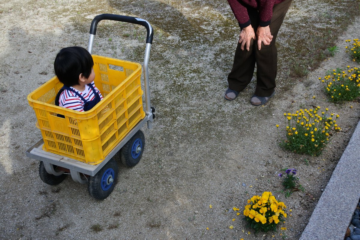 神野紗希 Twitterissa ひいばあちゃんの発明により みかんキャリー手押し車が完成 中にはざぶとんが敷いてあり 乗り心地もよし ちょこんと乗って みかん畑の入り口まで散歩
