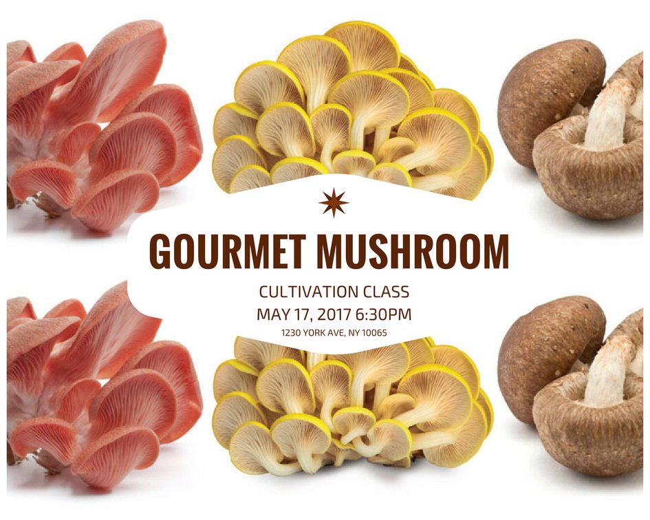 Manhattanshroom's tweet photo. #Enroll before the #class fills up https://t.co/PpcEMj73dE

#adult #food #world #press #art #science #STEM #manhattanmushroom https://t.co/6991FiB0tQ