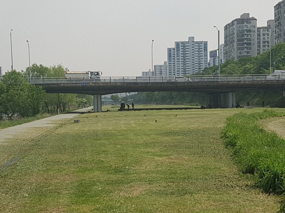 #성남시.그린탄천! 클린탄천!,100만 성남시민의 휴식/여가공간인 탄천 둔치 및 산책로변에 무성한 풀을 트랙터 제초기와 예초기를 사용 깍고 있습니다. 면적이 약 12만평에 달하는 잔디밭등을 매년 3~4회 깍아 시민들에게 쾌적함을 더해주고 있습니다.