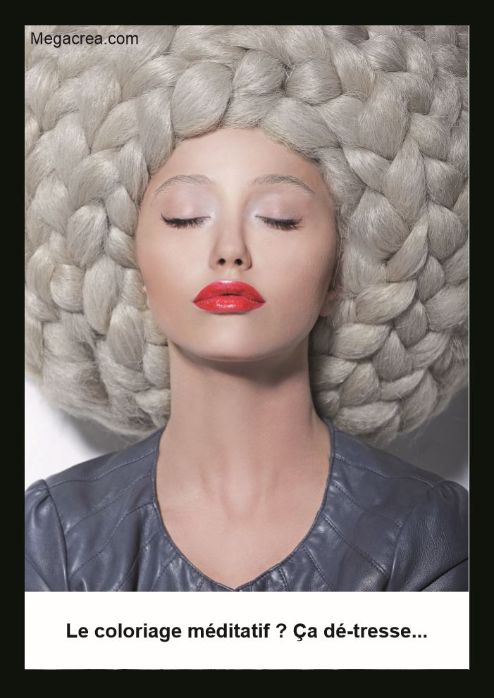 MégaCréa tweet media