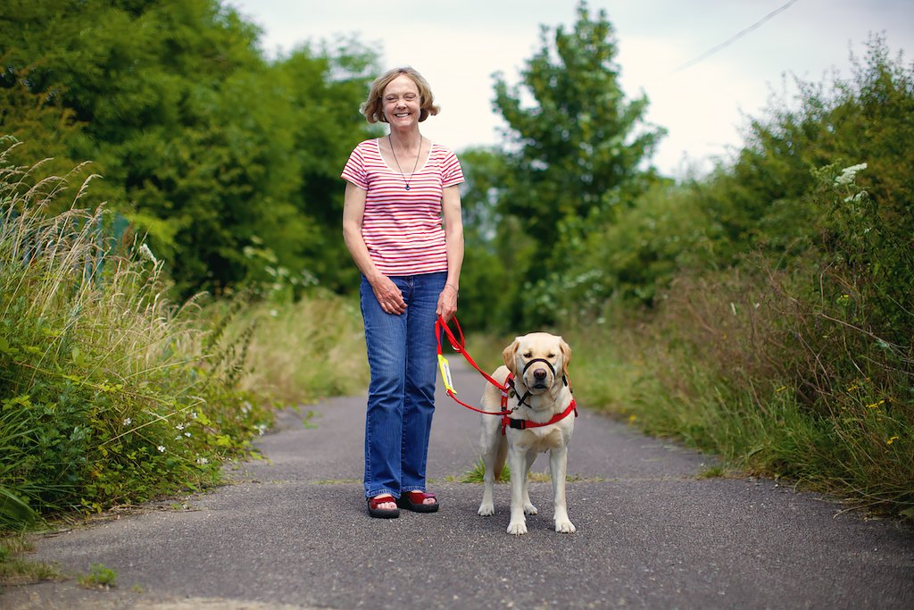 animalsforgood's tweet photo. Snowy's transformed Denise's life by alerting her of blood sugar level changes: https://t.co/uDqLSokFkP #servicedog @MedDetectDogs #diabetes https://t.co/mQF5USXG3Z