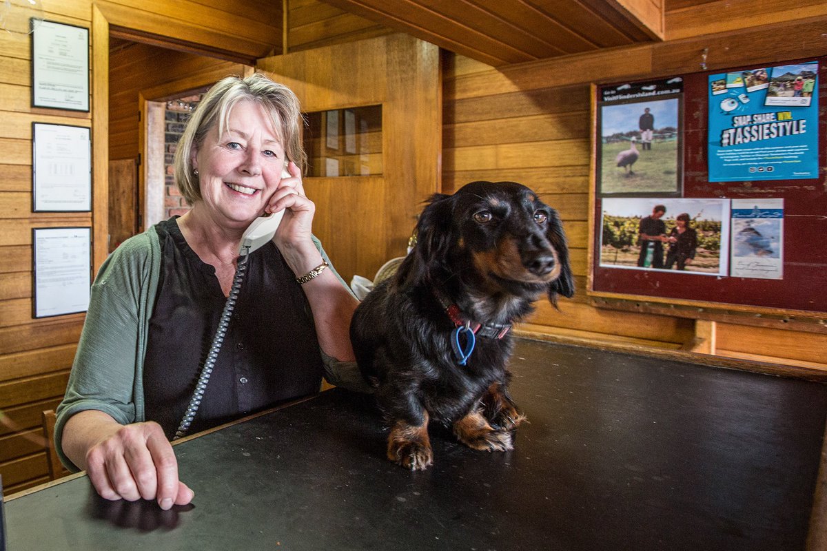 FlindersFresh's tweet photo. A 'pawesome' deal from #flindersisland for #doglovers. Dachshunds Fly Free! #dachshunds #tasmania #tassiestyle

https://t.co/qOU8oQN4ys https://t.co/vB4mEi7nND