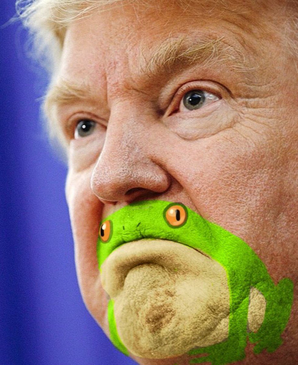 トランプさんのアゴってカエルに似てね アメリカのアーティストが気がついちゃった事からブームに Togetter