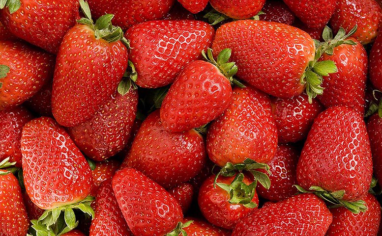 valenciafruits's tweet photo. Los #precios de la #fresa y la #frambuesa se recuperan. #Agrocomercio #Berries #Andalucía #Huelva https://t.co/94en4kfiav https://t.co/fSKyVBttH2