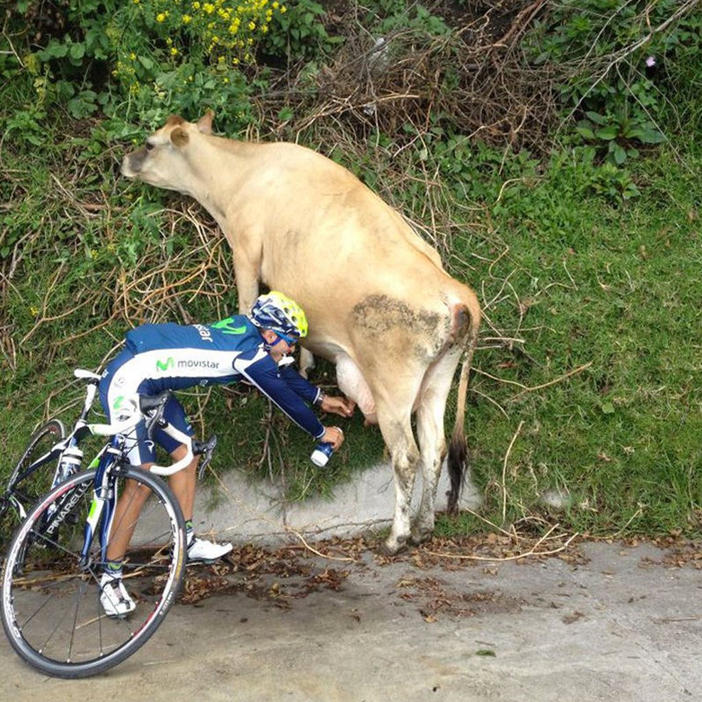 Bikelikeaprocycling (@bike_like_a_pro) on Twitter photo 