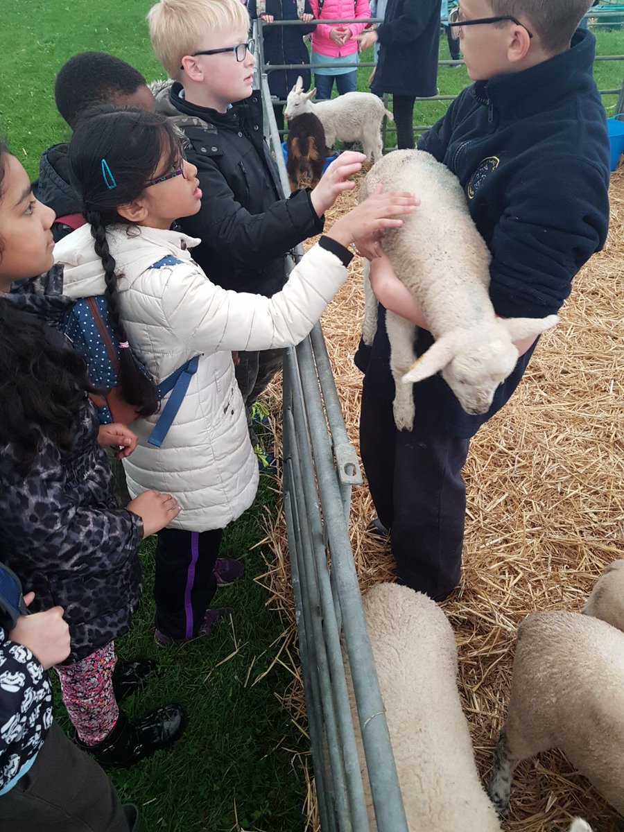 StAndrewsKent's tweet photo. Our Year 3's are visiting the Living-Land Exhibition at The Kent Showground @kentcountyshow https://t.co/3TFVBjTLP0