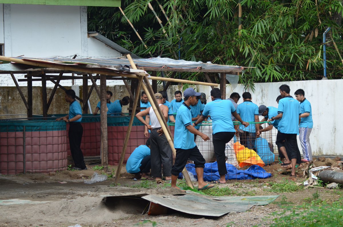 PK BLU BPPP Tegal tweet media