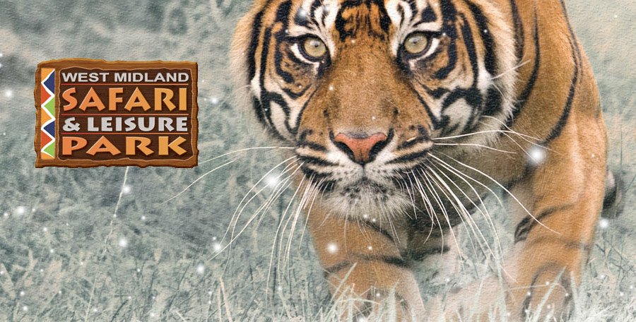 1 day left to win 2 tickets to <a href="/WestMidSafari/">West Midlands Safari Park</a> follow the link for your chance wegottickets.com/event/400703 #dudleyrt #competition #wmsp