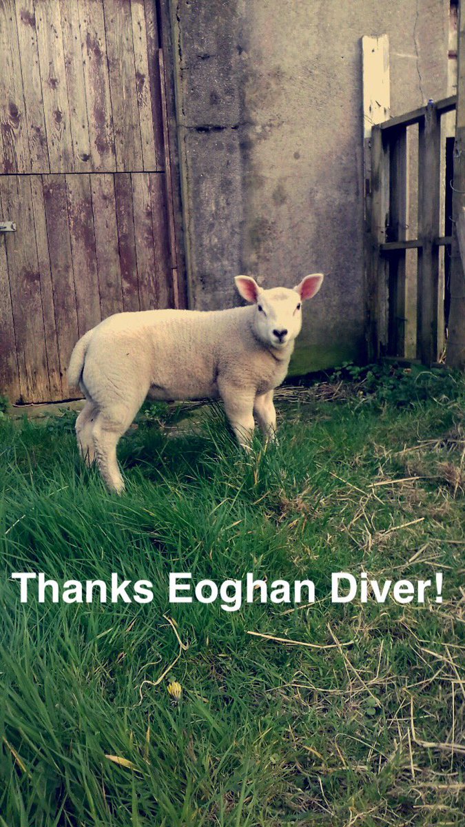 Add us on snapchat! 🏡 irishtexel