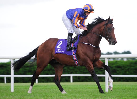 FinalFurlongPod's tweet photo. New Podcast! The lads and @helynsar preview the Guineas meeting & review the Punchestown Festival. RTs appreciated. https://t.co/GYFYkhtnSH https://t.co/3uZH1yrNNK