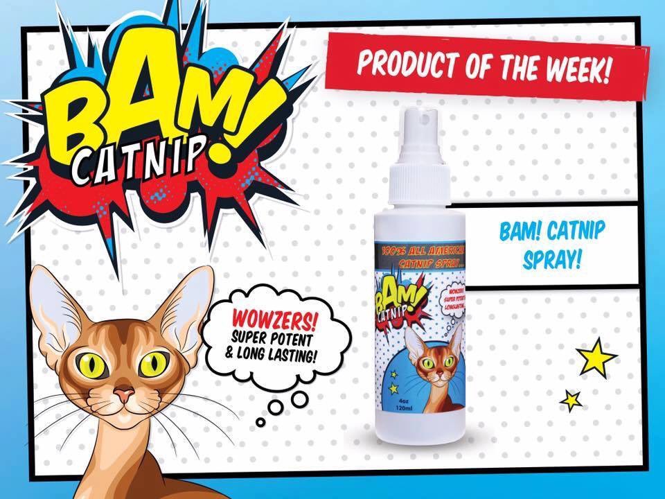 BAM_Catnip's tweet image. BAM Catnip spray is the perfect way to spice up any toy for hours off play!! Just a few squirts and it&apos;s ready to go!!WOW!!