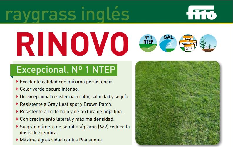 Rinovo Hashtag On Twitter