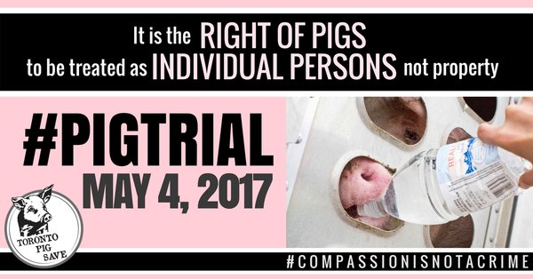 nikki_J_dore's tweet photo. I support Pigs being treated as individual persons 
I stand with Anita
#PigTrial #CompassionIsNotACrime #Vegan https://t.co/nzw8mF7u5R https://t.co/nO5KBgmXB7