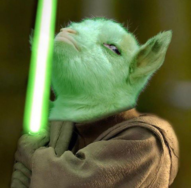 May the 4th be with you. Happy Star Wars day everyone. #swsrollerderby #starwars #starwarsday #maythe4thbewithyou #goat #starwarsgoat