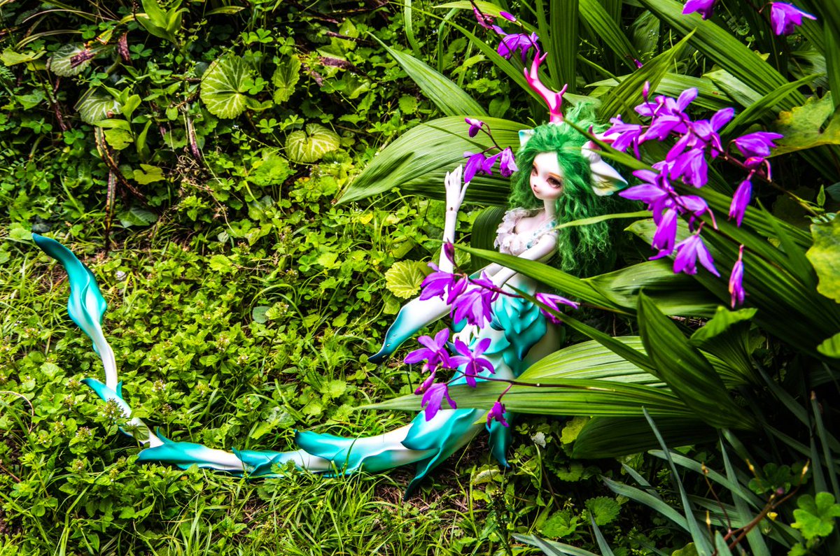 らるか tweet media