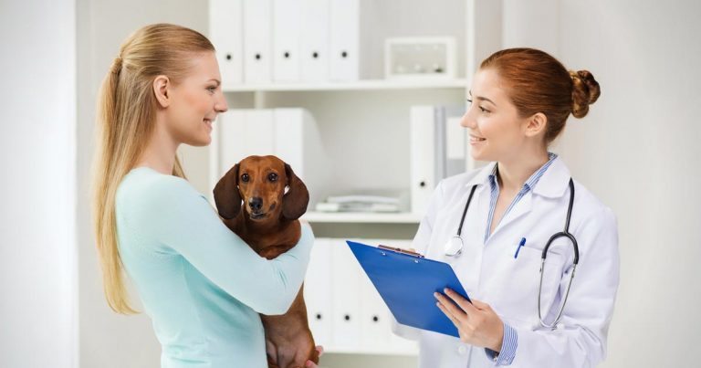 SparklineScore's tweet image. Has adopting empathy enriched your veterinary career? bit.ly/2loLQZt