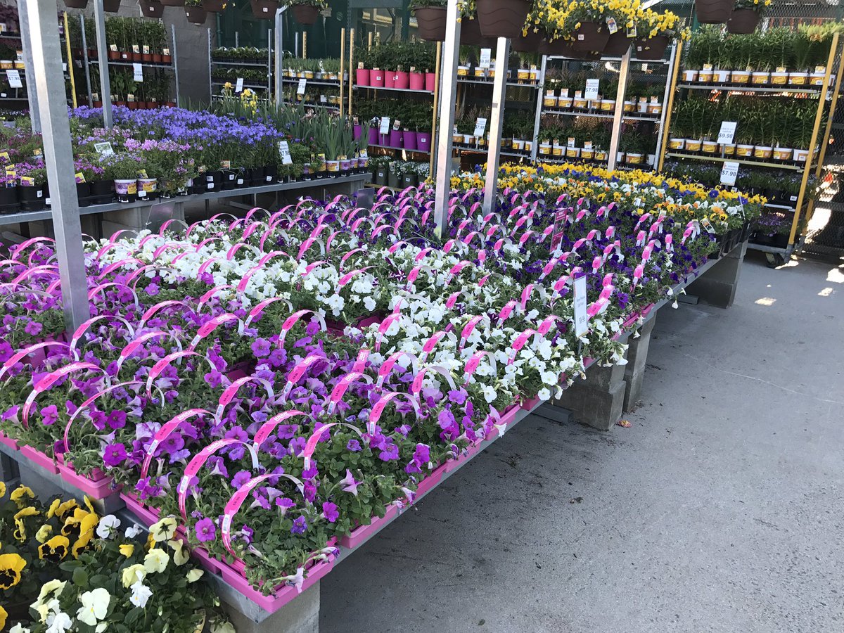 John Twomey tweet media