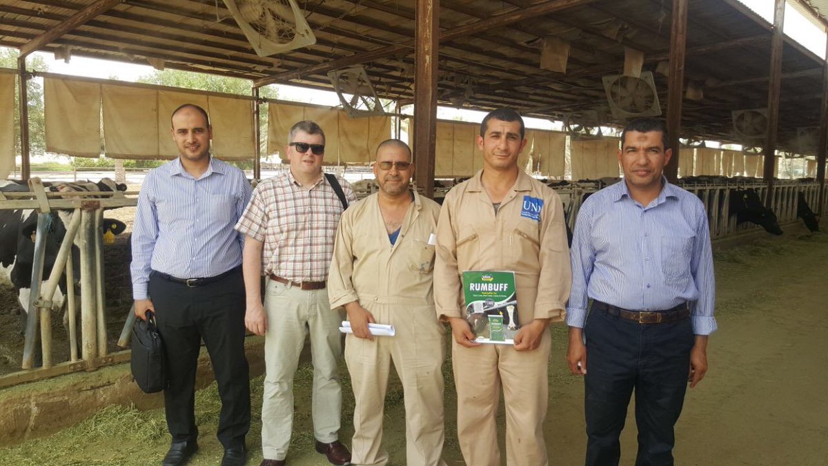 MervueLabs's tweet photo. Getting a great response on farm in Saudi Arabia for #RUMBUFF our feed buffer for Dairy Cows, Beef Cattle and Calves https://t.co/8x0mFPT2eu https://t.co/LEpbUj0JuS