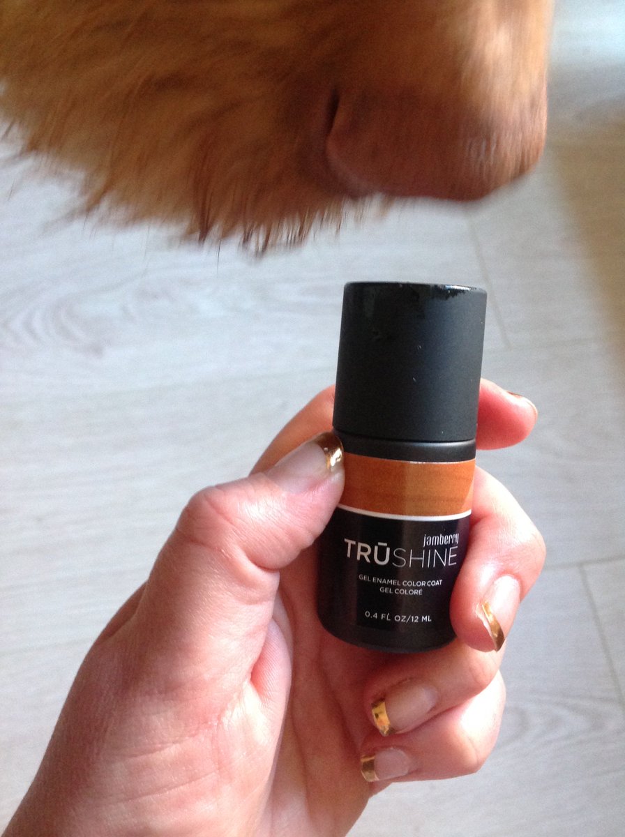 jamberryuksarah's tweet photo. Our #colourpop #gelpolish has arrived @maximusvizz loves it !! #coppertunityknocksjn #jamberry #hull #crueltyfree #askmehow #copper #trend https://t.co/kgPLbKrVRN