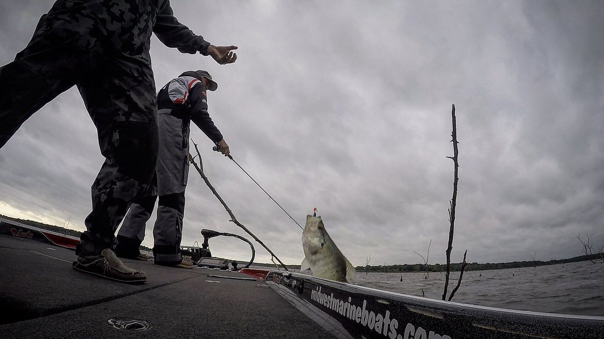 KevinRogersFish's tweet photo. What do I like, Crappie so big you can barely get them in the boat! #giantcrappie #crappiefishing #lakefork https://t.co/7hmdZc0Khu