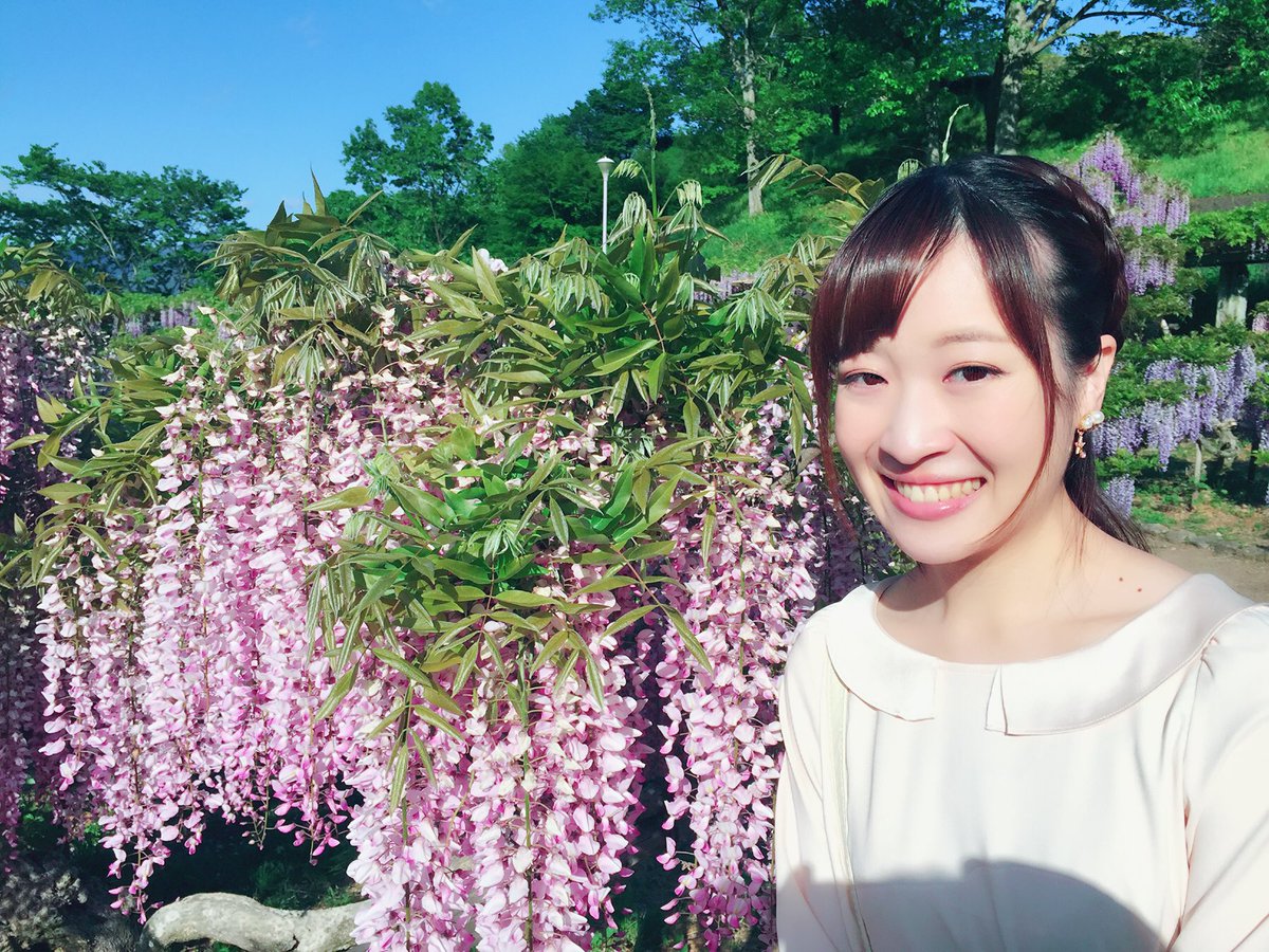 浅田麻実 On Twitter 藤枝市の蓮華寺池公園、藤の甘い香りに包まれていました！ 今週末まで見頃だそうです（╹ ╹） 蓮華寺池公園 藤 花 Flower…