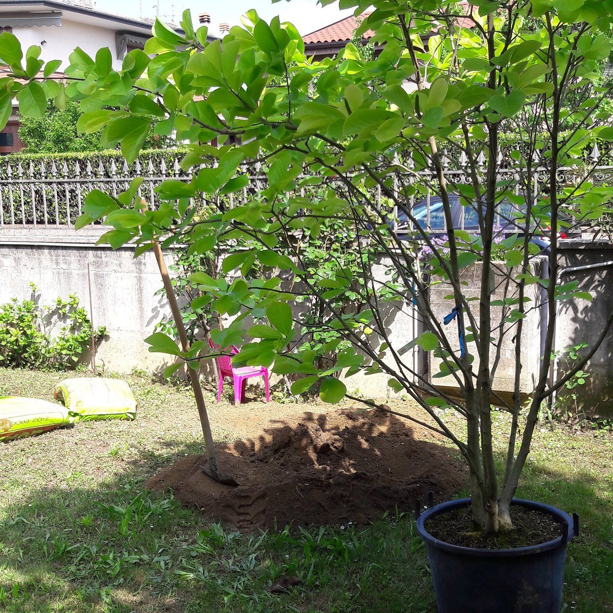 magicopartyit's tweet photo. Mamma giardiniera attivata! ๐
#magicoparty #mammeblogger #followmamme #giardinaggio #supermamma #primavera https://t.co/H08AFqyM1E