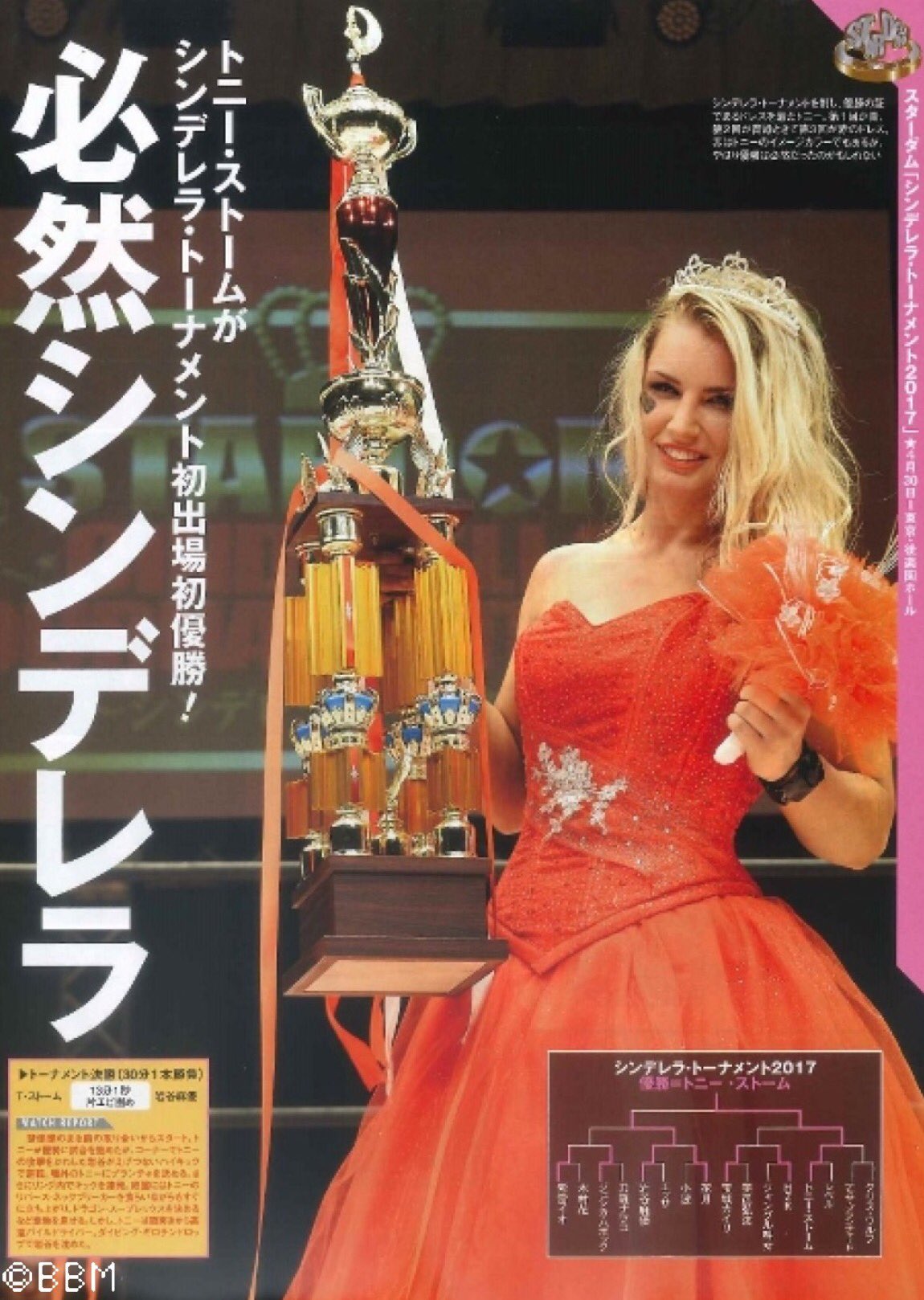 スターダム 2017年4月 興行ポスター ☆シンデレラトーナメント スターダム 2017年4月 興行ポスター ☆シンデレラトーナメント ﾌﾟﾛﾚｽ