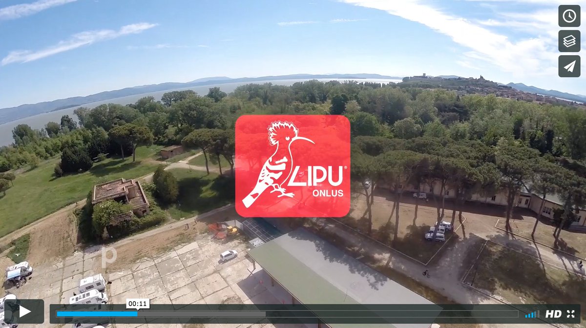 il Comune di Castiglione del Lago consegna i locali del nuovo centro @LipuOnlus del Trasimeno vimeo.com/movimentolabel… #trasimenolake #umbria