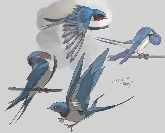 ツバメのtwitterイラスト検索結果 古い順