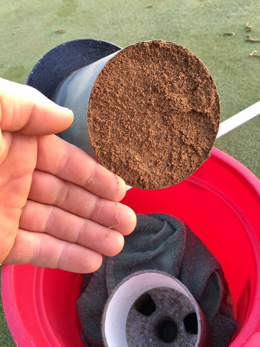 It's always a good feeling when you see an 8-9" root hanging out of the bottom of your cup cutter!