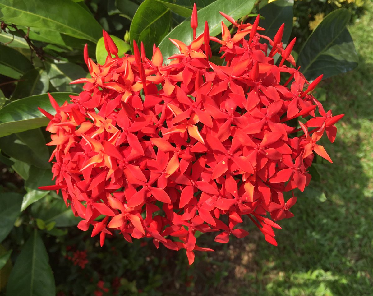 Don't wanna leave! #love #Singapore! See you soon <a href="/cherylovescake/">Cheryl Chia</a> <a href="/kaedekimura1136/">Kaede Loh</a> <a href="/dxnialll/">boys</a> miss you already! 💖